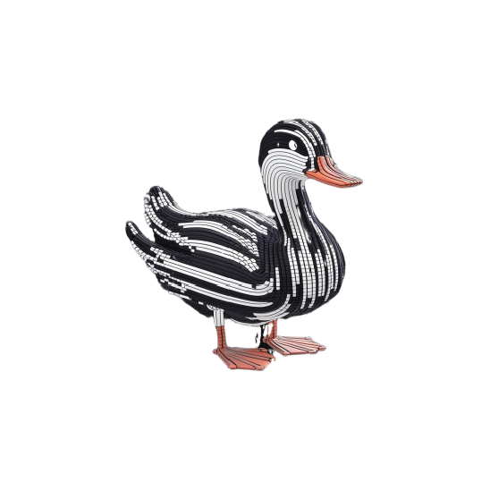Structured Duck