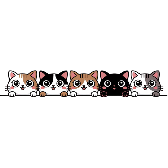 cat kittens